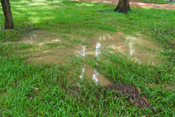 Cost of Storm Water Drainage Service in Leander