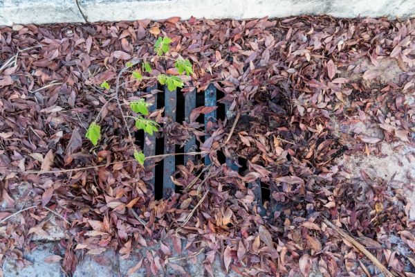 Cost of Yard Drain Unclogging in Leander