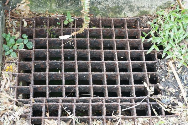 Cost of Yard Drain Cleaning in Leander