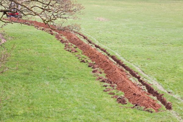 Cost of Swale Installation in Leander