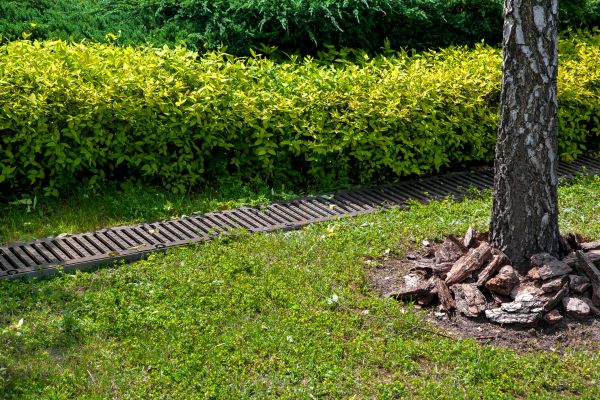 Cost of Residential Landscape Drainage in Leander