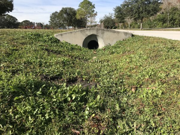 Cost of Swale Drainage Service in Leander