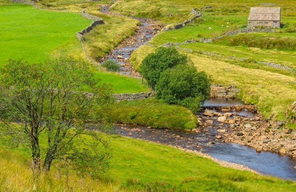 Cost of Swale Repair in Leander