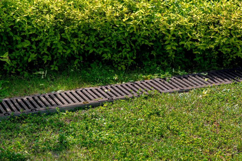 Drainage Grate Maintenance